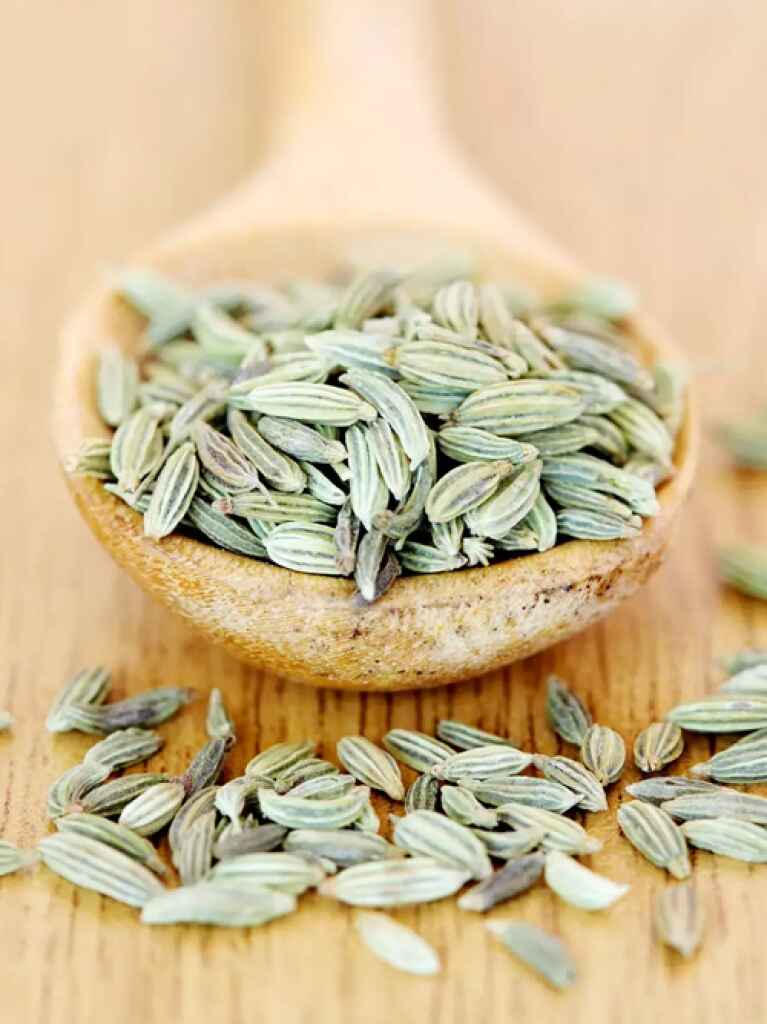 Order Best Fennel Seeds in Rajasthan & Maharashtra - Mothers SPPL